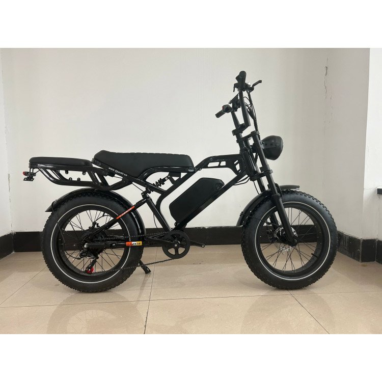 China Supplier Wholesale 350w 48v 12Ah Drum Brake 20 Inch Tire Offroad Mountain City Electric Bicycle for Men